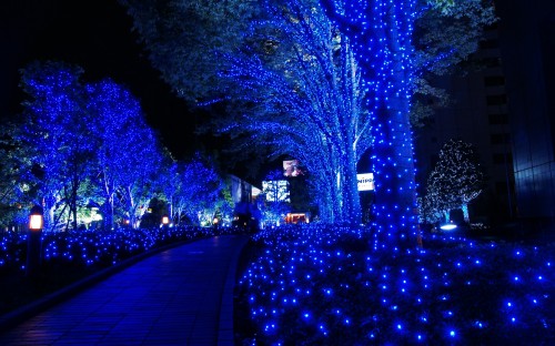 lights (6).jpg (1 MB)
